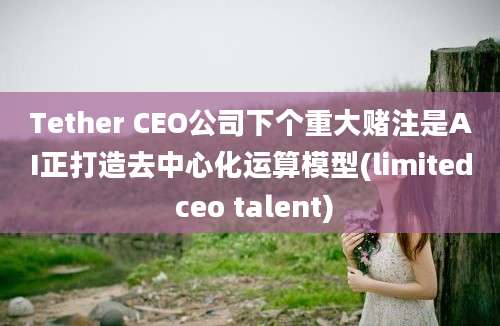 Tether CEO公司下个重大赌注是AI正打造去中心化运算模型(limited ceo talent)