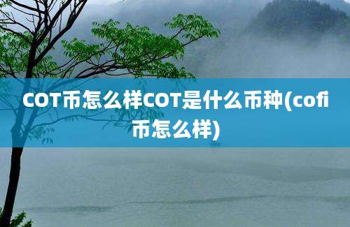 COT币怎么样COT是什么币种(cofi币怎么样)