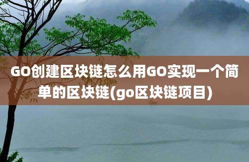 GO创建区块链怎么用GO实现一个简单的区块链(go区块链项目)