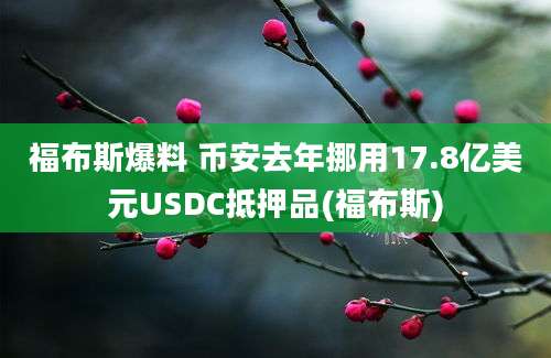 福布斯爆料 币安去年挪用17.8亿美元USDC抵押品(福布斯)