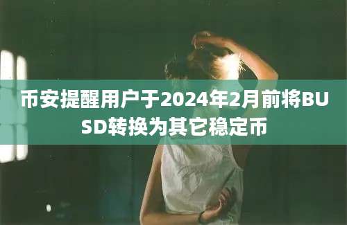 币安提醒用户于2024年2月前将BUSD转换为其它稳定币