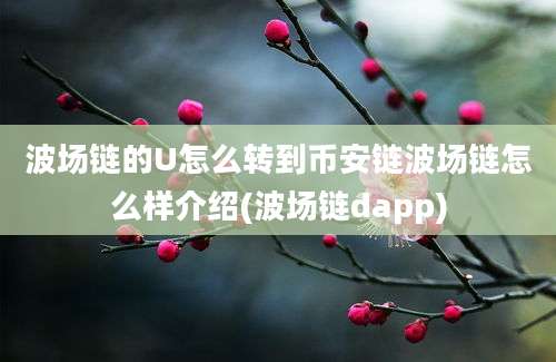 波场链的U怎么转到币安链波场链怎么样介绍(波场链dapp)