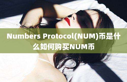 Numbers Protocol(NUM)币是什么如何购买NUM币