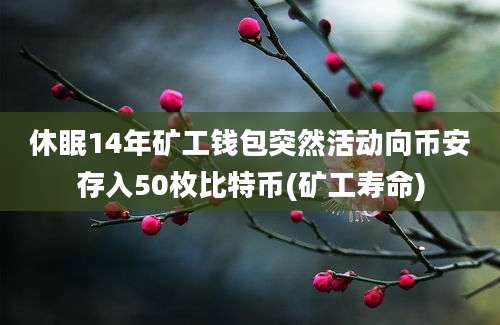 休眠14年矿工钱包突然活动向币安存入50枚比特币(矿工寿命)