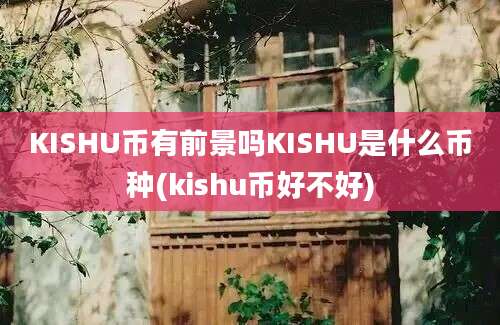 KISHU币有前景吗KISHU是什么币种(kishu币好不好)