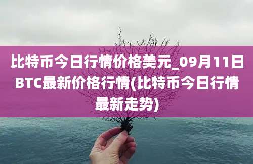 比特币今日行情价格美元_09月11日BTC最新价格行情(比特币今日行情最新走势)