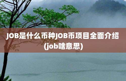 JOB是什么币种JOB币项目全面介绍(job啥意思)