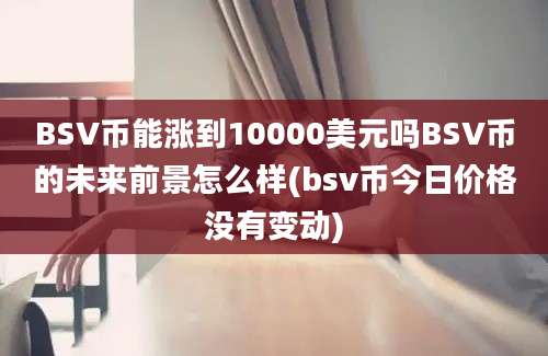 BSV币能涨到10000美元吗BSV币的未来前景怎么样(bsv币今日价格没有变动)