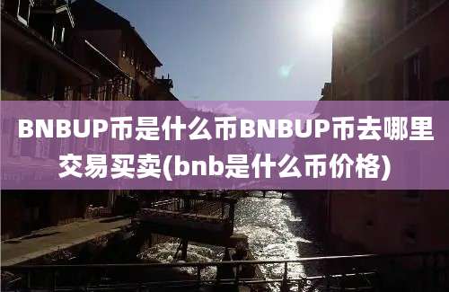 BNBUP币是什么币BNBUP币去哪里交易买卖(bnb是什么币价格)