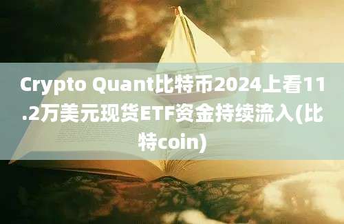 Crypto Quant比特币2024上看11.2万美元现货ETF资金持续流入(比特coin)