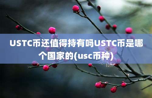 USTC币还值得持有吗USTC币是哪个国家的(usc币种)