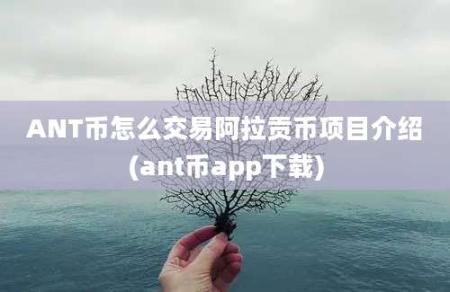 ANT币怎么交易阿拉贡币项目介绍(ant币app下载)