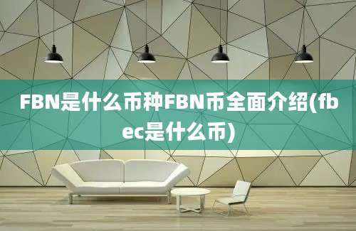 FBN是什么币种FBN币全面介绍(fbec是什么币)