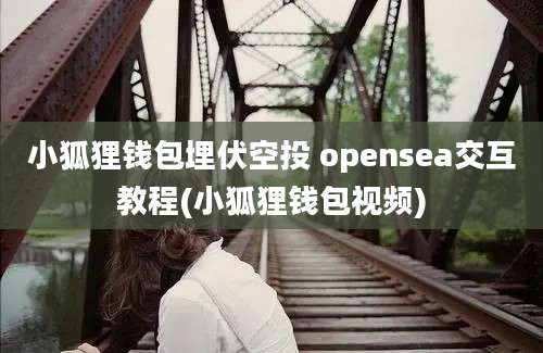 小狐狸钱包埋伏空投 opensea交互教程(小狐狸钱包视频)