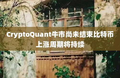 CryptoQuant牛市尚未结束比特币上涨周期将持续