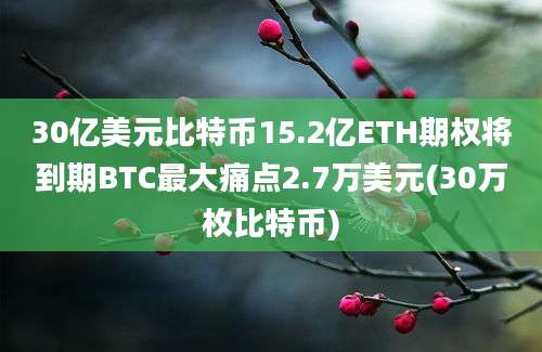 30亿美元比特币15.2亿ETH期权将到期BTC最大痛点2.7万美元(30万枚比特币)