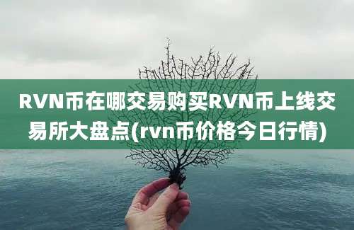 RVN币在哪交易购买RVN币上线交易所大盘点(rvn币价格今日行情)