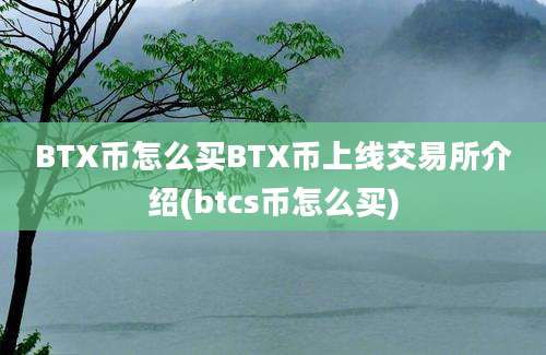 BTX币怎么买BTX币上线交易所介绍(btcs币怎么买)