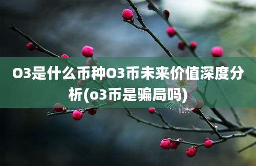 O3是什么币种O3币未来价值深度分析(o3币是骗局吗)