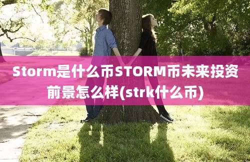 Storm是什么币STORM币未来投资前景怎么样(strk什么币)