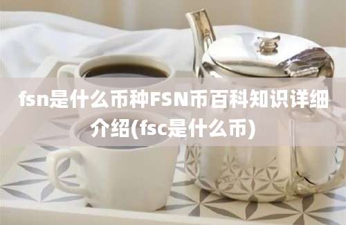 fsn是什么币种FSN币百科知识详细介绍(fsc是什么币)