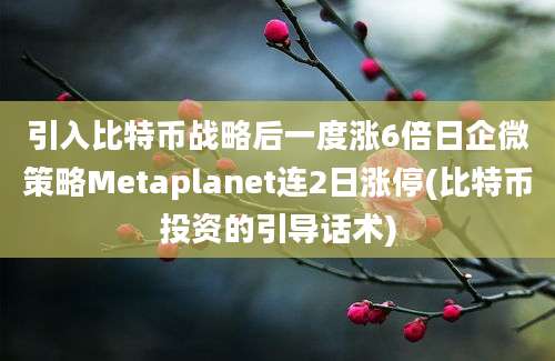 引入比特币战略后一度涨6倍日企微策略Metaplanet连2日涨停(比特币投资的引导话术)