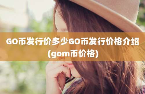 GO币发行价多少GO币发行价格介绍(gom币价格)