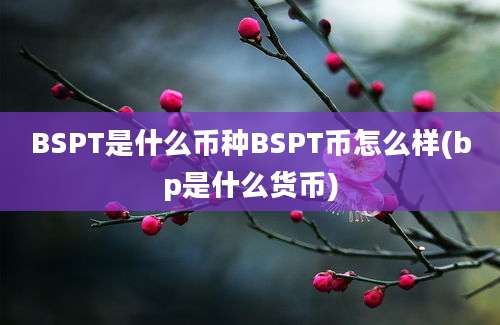 BSPT是什么币种BSPT币怎么样(bp是什么货币)