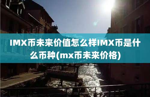 IMX币未来价值怎么样IMX币是什么币种(mx币未来价格)