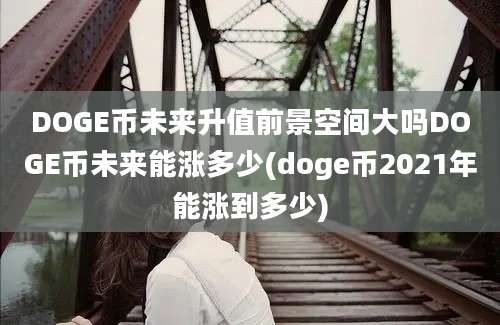 DOGE币未来升值前景空间大吗DOGE币未来能涨多少(doge币2021年能涨到多少)