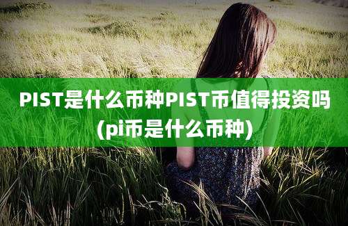 PIST是什么币种PIST币值得投资吗(pi币是什么币种)