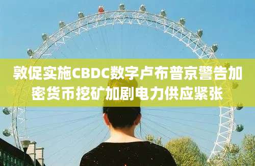 敦促实施CBDC数字卢布普京警告加密货币挖矿加剧电力供应紧张