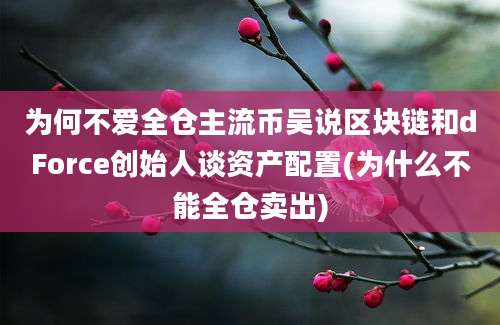 为何不爱全仓主流币吴说区块链和dForce创始人谈资产配置(为什么不能全仓卖出)