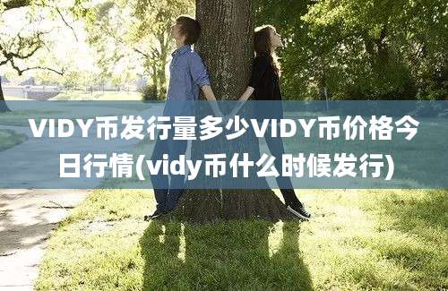 VIDY币发行量多少VIDY币价格今日行情(vidy币什么时候发行)