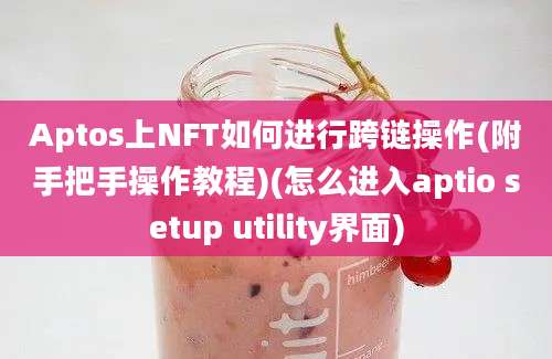 Aptos上NFT如何进行跨链操作(附手把手操作教程)(怎么进入aptio setup utility界面)