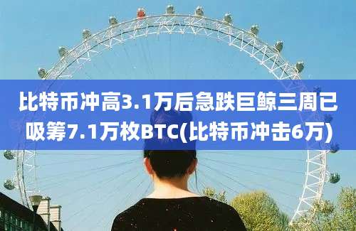 比特币冲高3.1万后急跌巨鲸三周已吸筹7.1万枚BTC(比特币冲击6万)