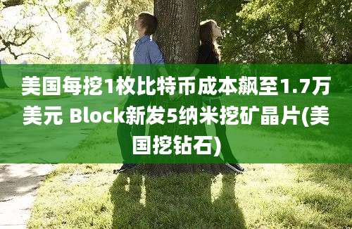 美国每挖1枚比特币成本飙至1.7万美元 Block新发5纳米挖矿晶片(美国挖钻石)