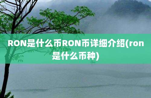 RON是什么币RON币详细介绍(ron是什么币种)