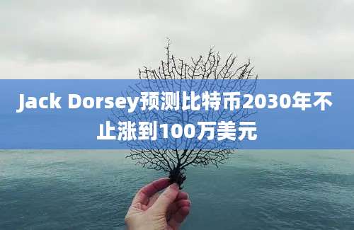 Jack Dorsey预测比特币2030年不止涨到100万美元