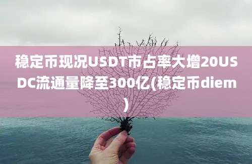 稳定币现况USDT市占率大增20USDC流通量降至300亿(稳定币diem)