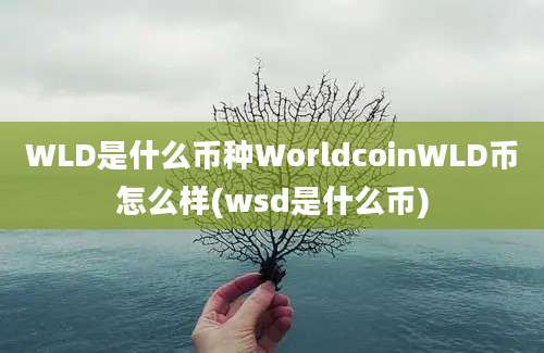 WLD是什么币种WorldcoinWLD币怎么样(wsd是什么币)