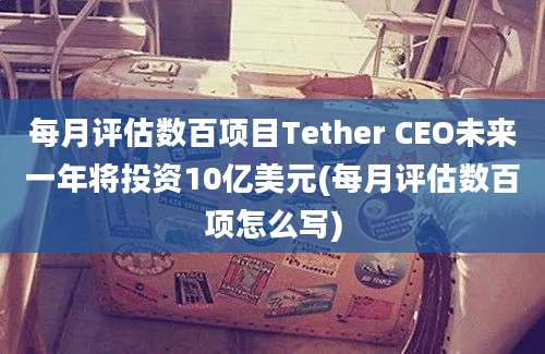 每月评估数百项目Tether CEO未来一年将投资10亿美元(每月评估数百项怎么写)