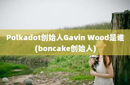 Polkadot创始人Gavin Wood是谁(boncake创始人)