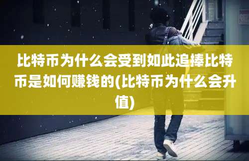 比特币为什么会受到如此追捧比特币是如何赚钱的(比特币为什么会升值)