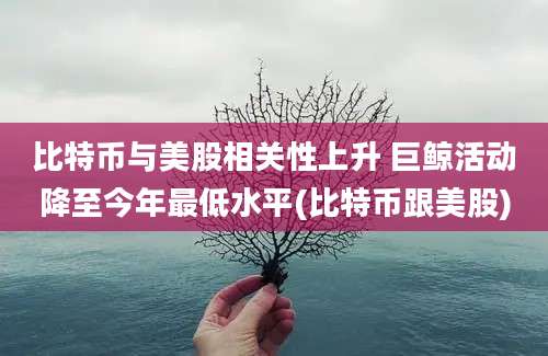 比特币与美股相关性上升 巨鲸活动降至今年最低水平(比特币跟美股)