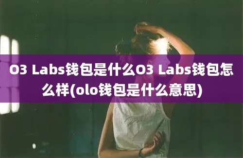 O3 Labs钱包是什么O3 Labs钱包怎么样(olo钱包是什么意思)