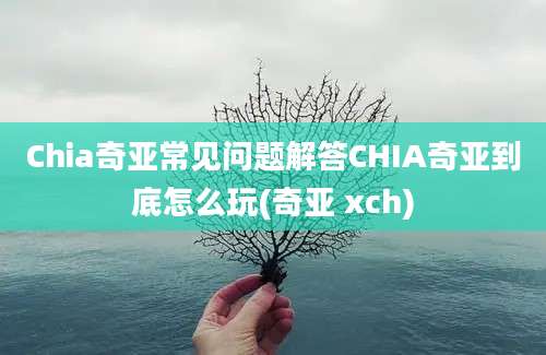 Chia奇亚常见问题解答CHIA奇亚到底怎么玩(奇亚 xch)