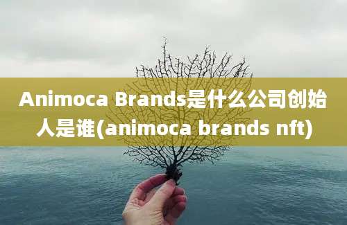 Animoca Brands是什么公司创始人是谁(animoca brands nft)