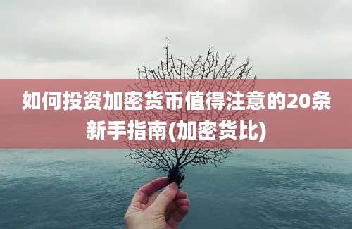 如何投资加密货币值得注意的20条新手指南(加密货比)