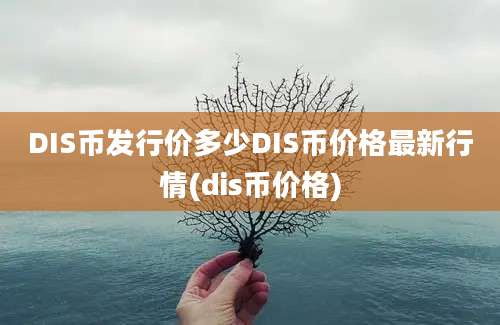 DIS币发行价多少DIS币价格最新行情(dis币价格)